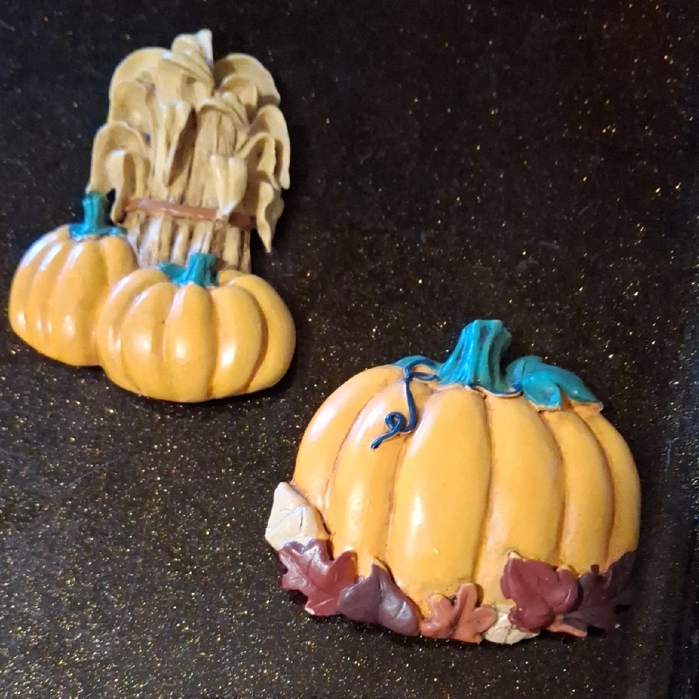 Decorative Pumpkin Magnets Set Halloween Thanksgiving Nature Harvest